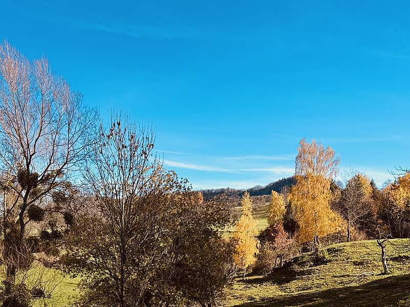 Charmante Reitanlage zwischen Stuttgart und dem Bodensee