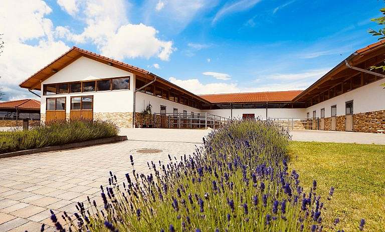 Wohntraum & Sportstall