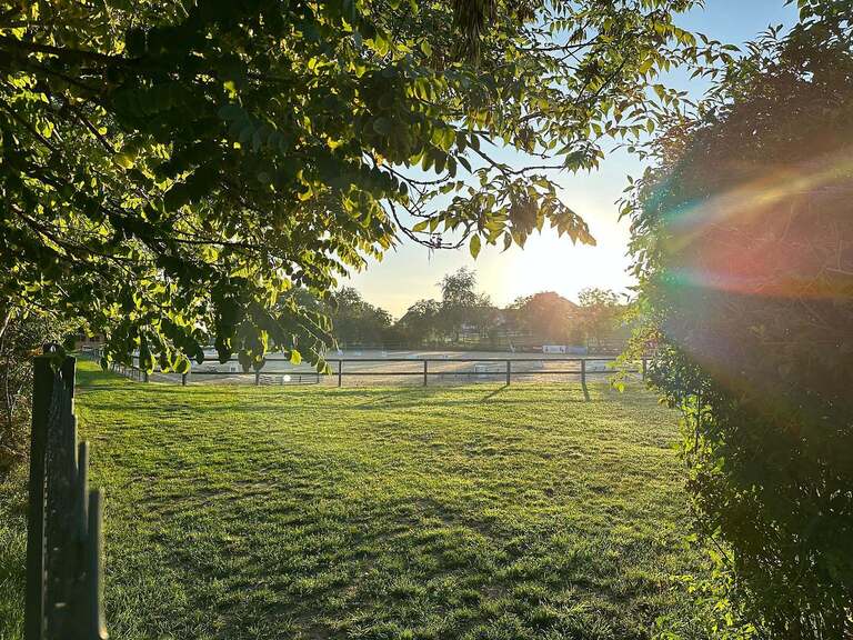 Hochwertige Reitsportanlage in Rheinhessen – Großer Sport! V14310